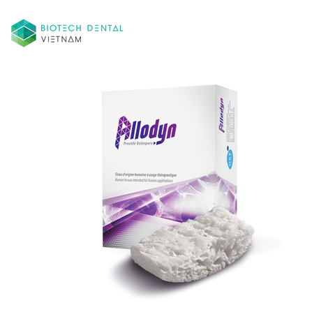  XƯƠNG ĐỒNG CHỦNG ALLODYN 