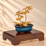 Chậu Lan 2 Cành dát vàng 24k