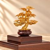 Chậu Cây Tài Lộc dát vàng 24k (mẫu 2)