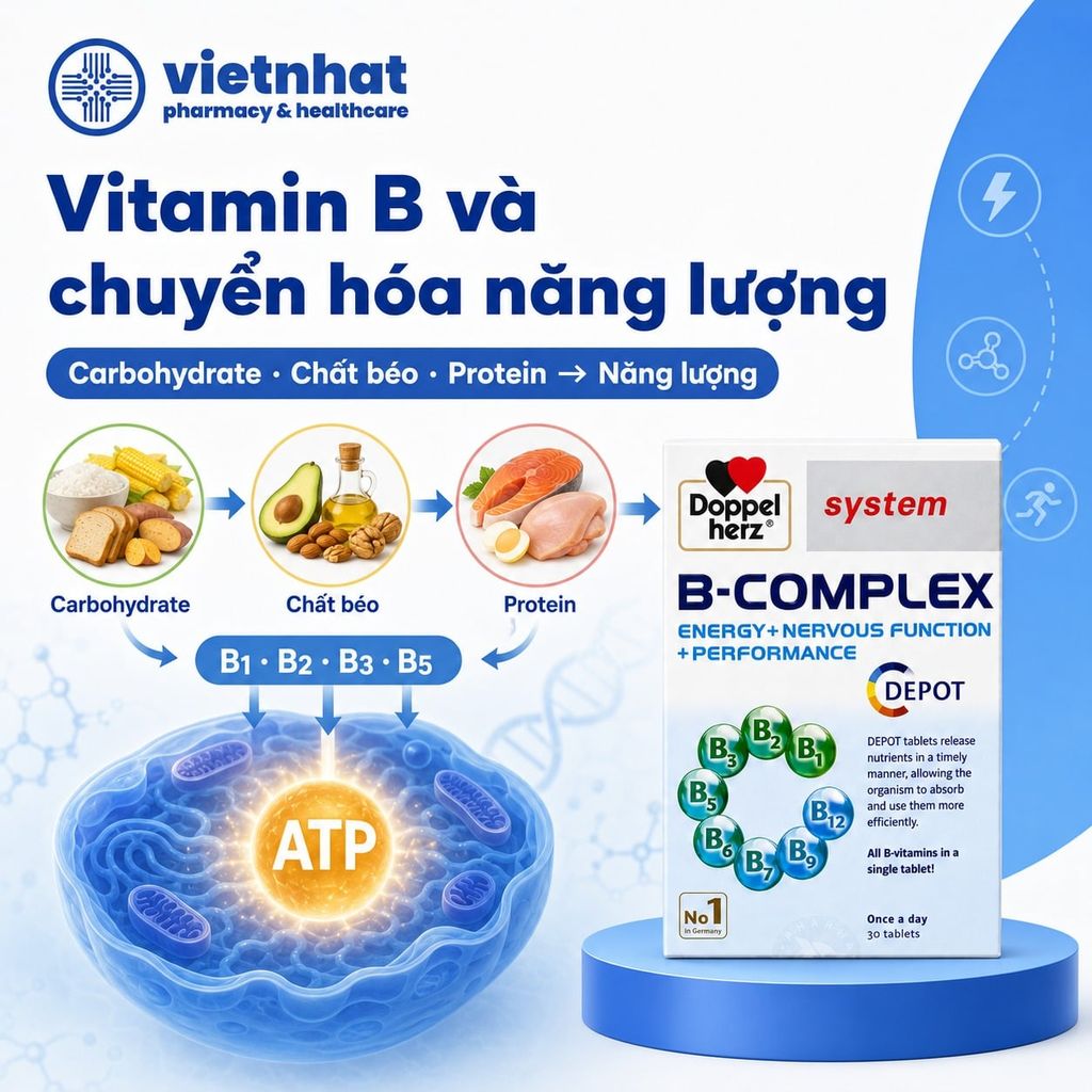 B-Complex Doppelherz: Bổ sung vitamin nhóm B, hỗ trợ giảm mệt mỏi cho người trưởng thành