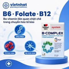 B-Complex Doppelherz: Bổ sung vitamin nhóm B, hỗ trợ giảm mệt mỏi cho người trưởng thành