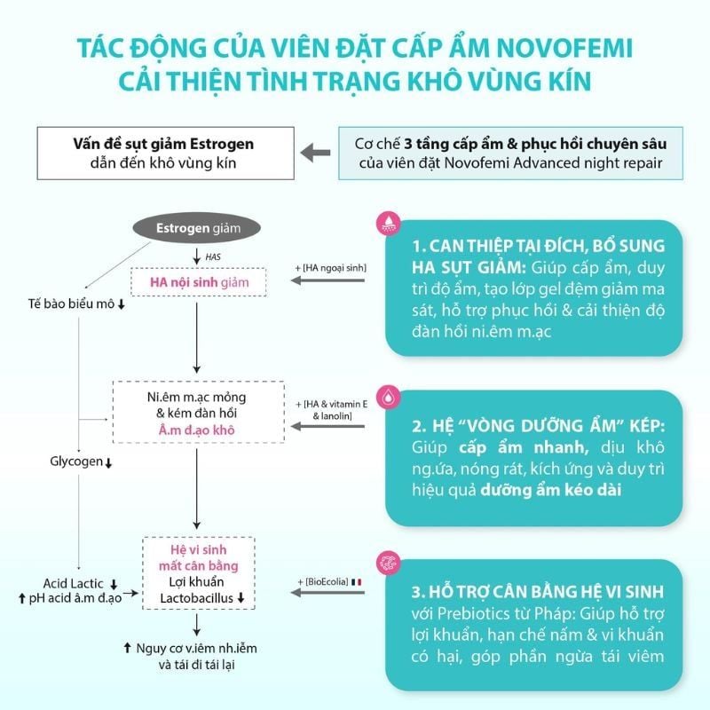 Novofemi Xanh (Advanced Night Repair) - Viên đặt hỗ trợ cấp ẩm và phục hồi chuyên sâu