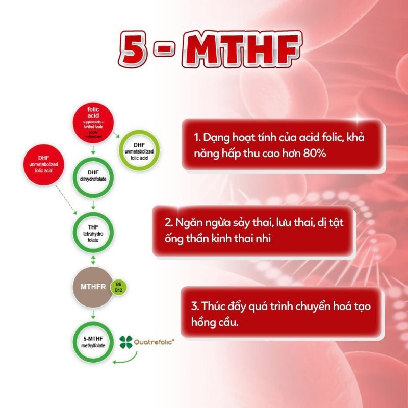 Imochild Lipoferon - Bổ Sung Sắt Sinh Học Liposome, An Toàn Cho Bà Bầu và Phụ Nữ Sau Sinh