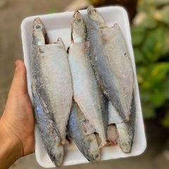 Cá bạc má Phú Yên làm sạch