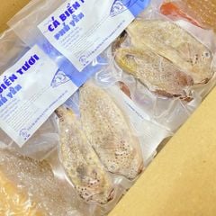 Cá bò hòm Phú Yên