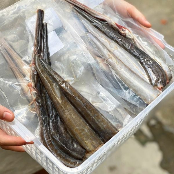 Cá lao đen, chìa vôi đen cắt khúc