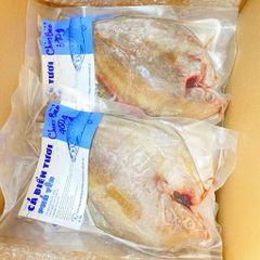 Cá chim biển, chim đen thiên nhiên