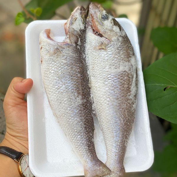 Cá gáo làm sạch