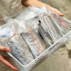 Cá hố lát | sz lớn