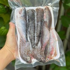 Cá lưới lộn xộn