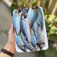 Cá ngân làm sạch