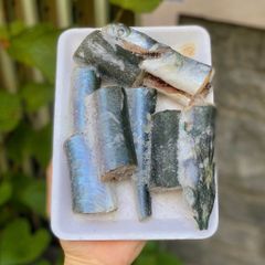 Cá nhái biển, xương xanh nguyên con