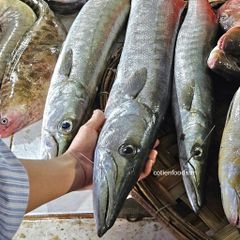 Cá nhồng cắt lát