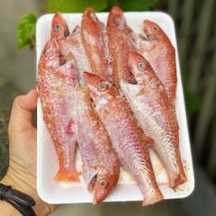 Cá phèn làm sạch