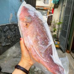 Cá róc hồng làm sạch