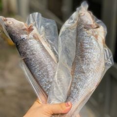 Cá sóc nanh cắt khúc
