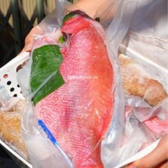 Cá sơn thóc nguyên con