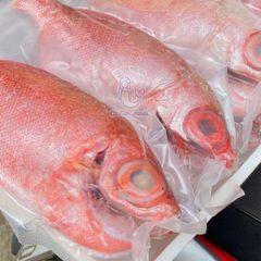 Cá sơn thóc làm sạch