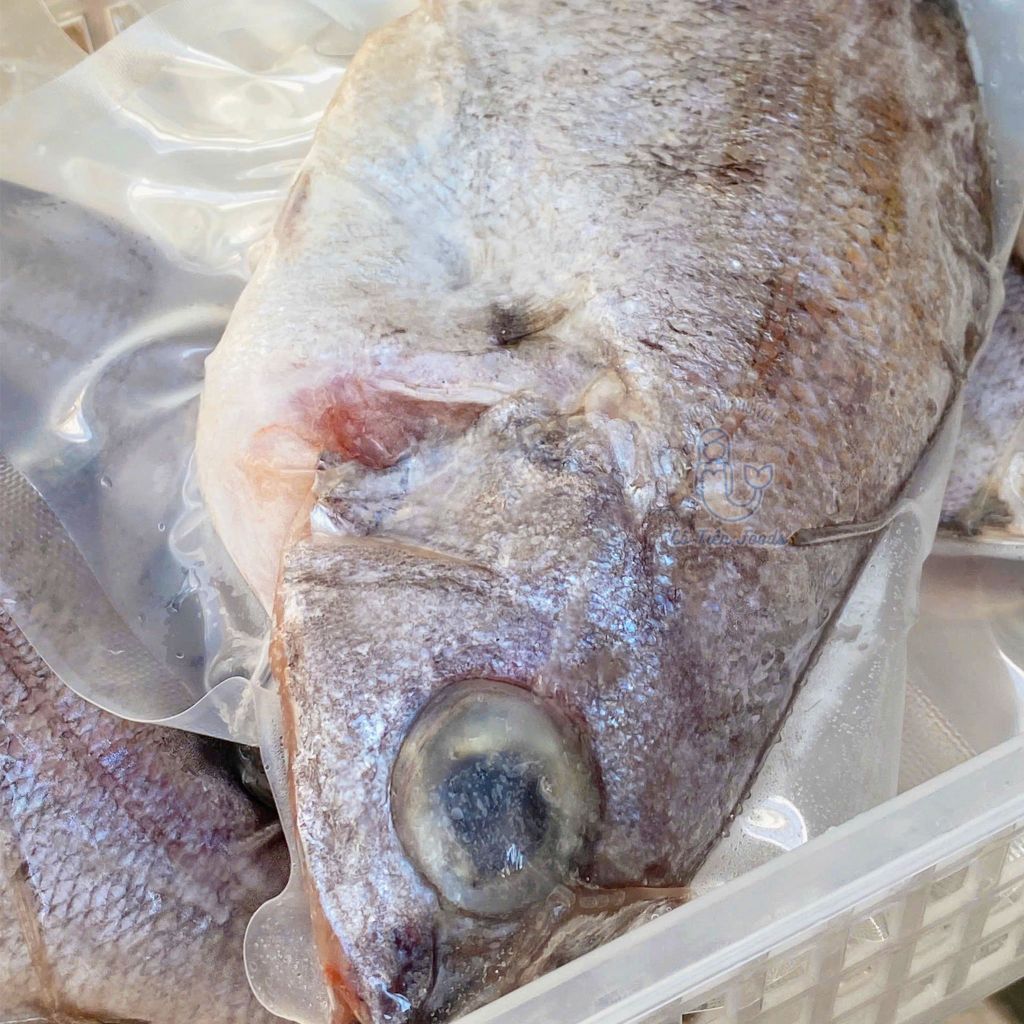 Cá sơn la, trao tráo nguyên con | cắt đôi