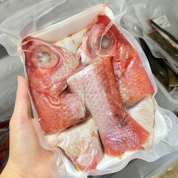 Bộ đầu đuôi cá hồng biển