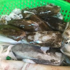 Mực lá Phú Yên | 1 con/ túi