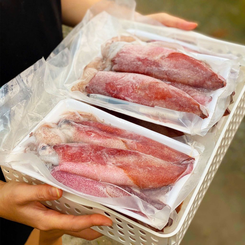 Mực ống làm sạch | sz 12 14