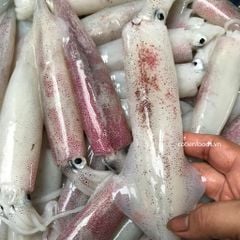 Mực ống làm sạch | sz 12 14