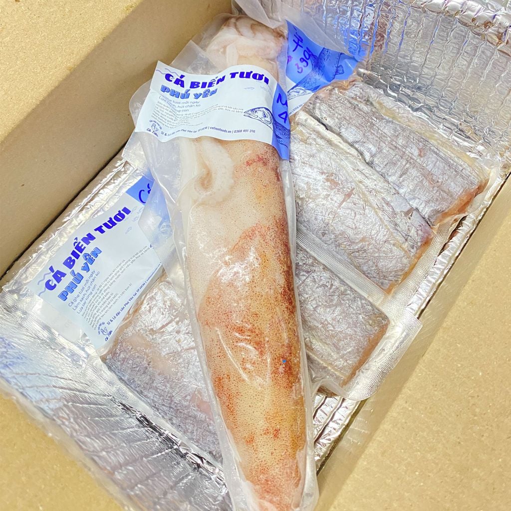 Mực ống Phú Yên