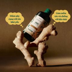 Dầu Gội Gừng Ginger Scalp Care The Body Shop 400ml