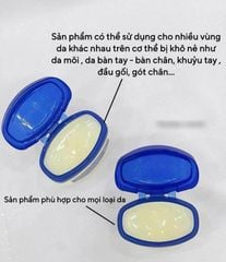Sáp Vaseline Protecting Jelly 42g