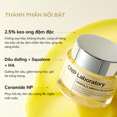 Kem Dưỡng Keo Ong CNP Propolis Ampule Oil In Cream 50g