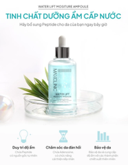 Tinh Chất Dưỡng Ẩm Cấp Nước Maxclinic WATER LIFT Moisture Ampoule 100ml