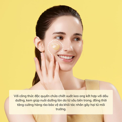 Kem Dưỡng Keo Ong CNP Propolis Ampule Oil In Cream 50g