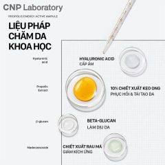Tinh Chất Keo Ong Tái Tạo Phục Hồi Da CNP Laboratory 15ml ( Tem )