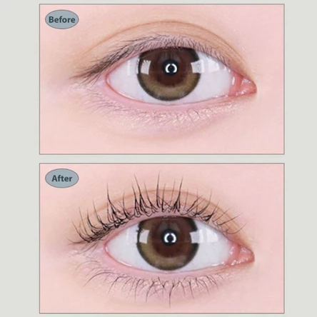 Bấm Mi Kai thân thép KQ 2010 Eyelash Curler