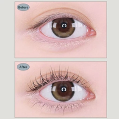 Bấm Mi Kai thân thép KQ 2010 Eyelash Curler