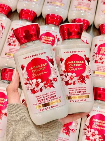 BBW - Body Lotion 236ml #Cherry Blossom (Mẫu mới)