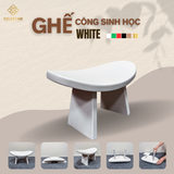 Ghế Công Sinh Học Celestine
