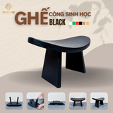 Ghế Công Sinh Học Celestine