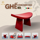 Ghế Công Sinh Học Celestine