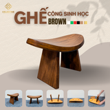 Ghế Công Sinh Học Celestine