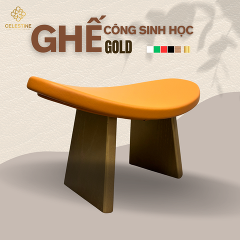 Ghế Công Sinh Học Celestine