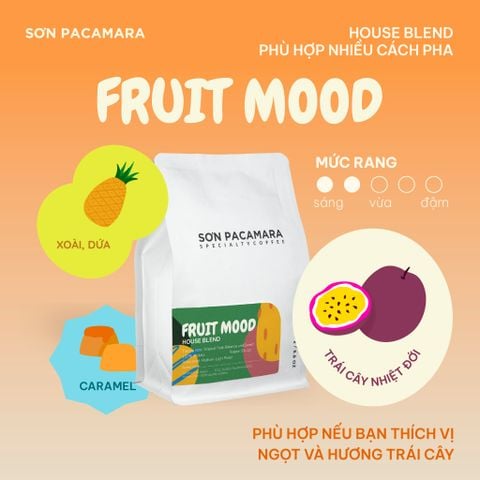 Cà Phê Cold Brew Gói Fruit Mood, Special Blend, 100% Specialty Coffee, Hương Trái Cây, Vị Đầm, Rang Vừa, Gói 250gr / 500gr