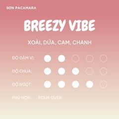 (Tiết kiệm 90K) Combo 1KG Breezy Vibe Gói 250gr/500gr - Phù Hợp Pha Pour Over / Espresso / Cold Brew