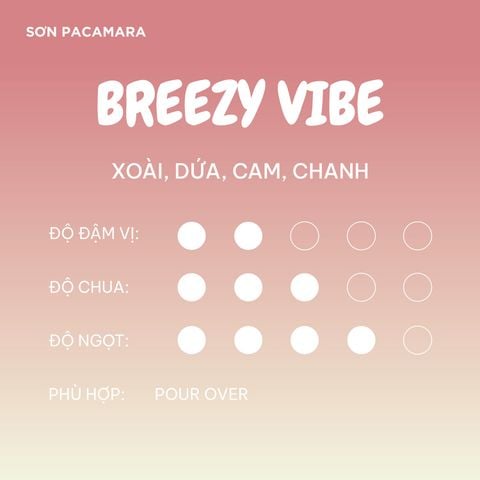 (Cà Mới) Cà Phê Breezy Vibe, Special Blend, 100% Specialty Coffee, Hương Trái Cây, Vị Nhẹ, Rang Vừa, Gói 250gr / 500gr