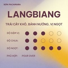(Tiết kiệm 95K) Combo 1KG Lang Biang Gói 250gr / 500gr - Phù Hợp Pha Pour Over