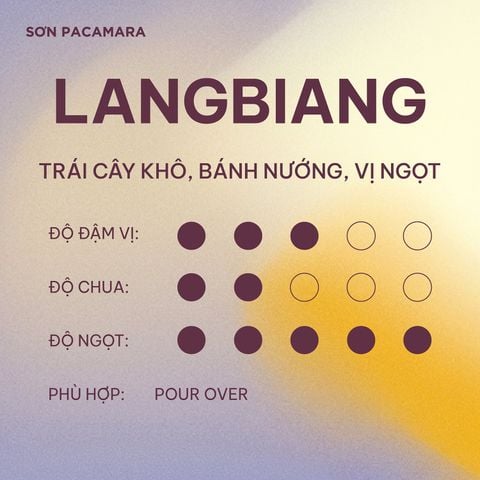 (New Crop 2026) Cà Phê Pour Over Gói Lang Biang, 100% Specialty Coffee Lạc Dương, Hương Trái Cây Nhiệt Đới, Rang Nhạt, Gói 250gr / 500gr