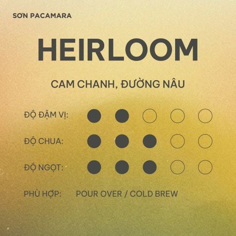 (Sỉ Giá Tốt) Cà Phê Heirloom Sơn Farm, Xay Theo Yêu Cầu, Đóng Gói 1kg