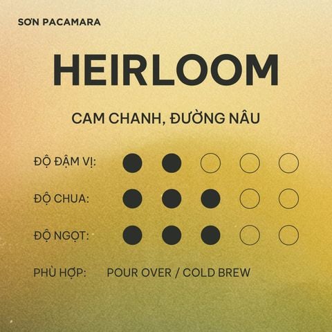 (New Crop 2026) Cà Phê Pour Over Gói Heirloom, 100% Specialty Coffee Đà Lạt, Rang Nhạt, Gói 250gr / 500gr
