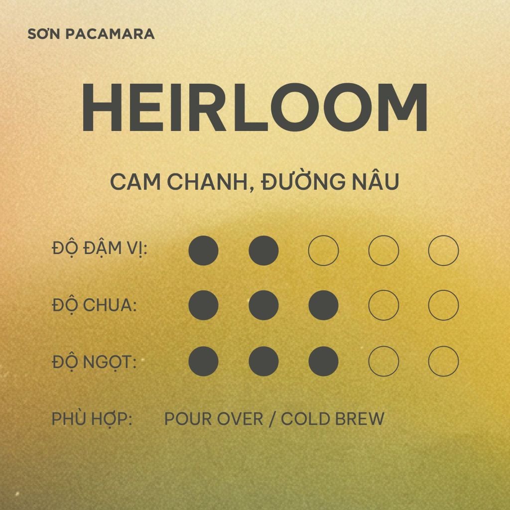 (Tiết kiệm 90K) Combo 1KG Heirloom Gói 250gr/500gr - Phù Hợp Pha Pour Over / Cold Brew